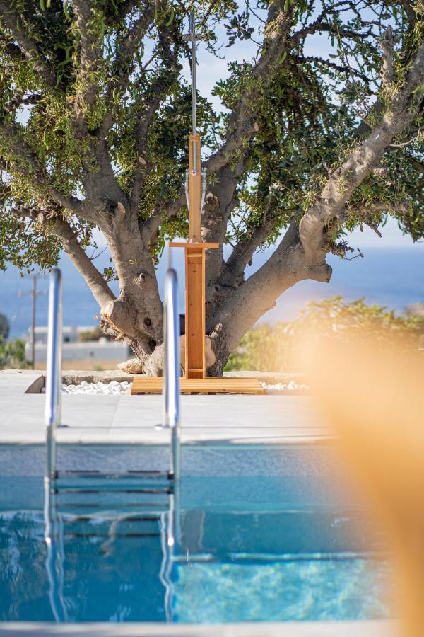 Вилла Santa Marina Syros Liaropa Экстерьер фото
